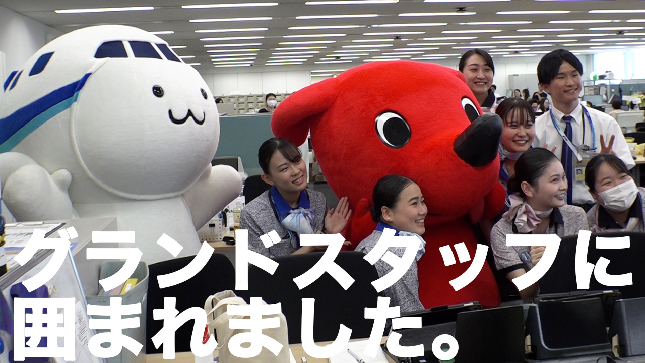 【A380】チーバくんがANAオフィスに潜入！💙✈️ 「FLYING HONU」の機内が凄すぎた…！🐢